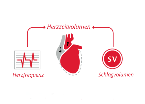 Herzzeitvolumen (CO) =Schlagvolumen × Herzfrequenz